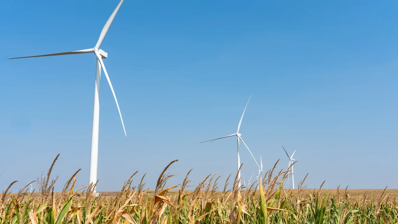 Cargill Expands Renewable Portfolio via SPP Wind and Solar